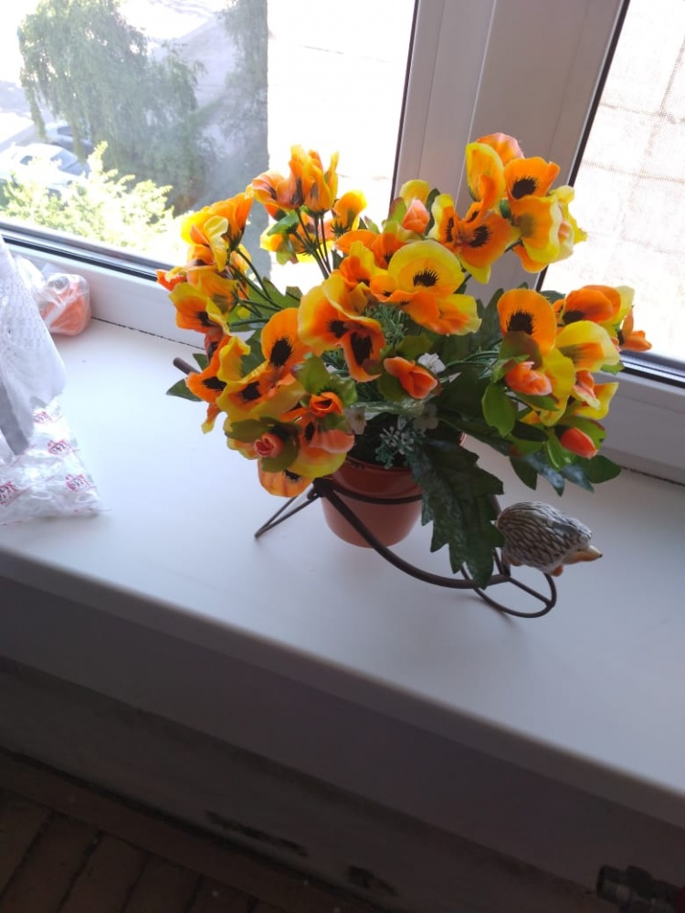 Анютины глазки в интерьере