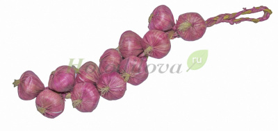 Картинка с сайта