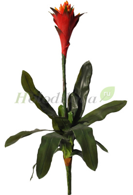 Картинка с сайта