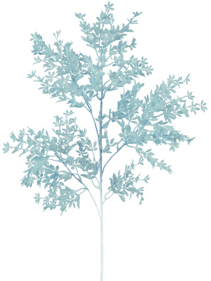 Декоративная ветка