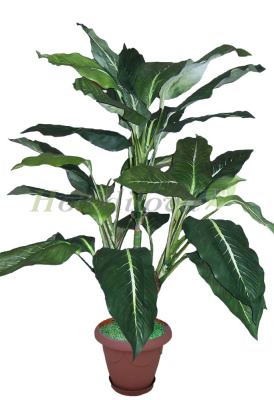 Картинка с сайта