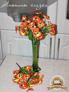 анютины глазки