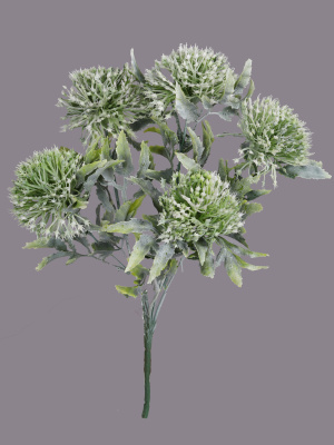 АЕ-00-28