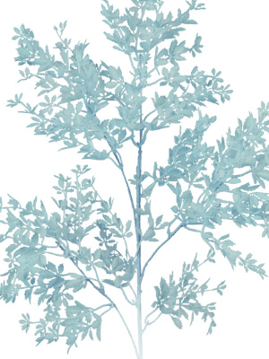 Декоративная ветка