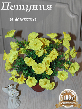 Петуния в кашпо