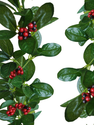 Лиана с мелкими ягодами