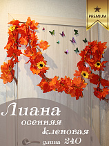 Лиана осенняя