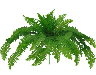 Картинка с сайта