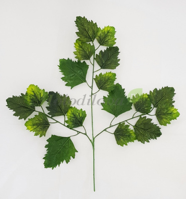 Картинка с сайта