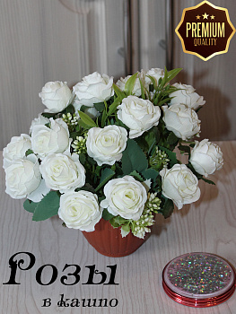 розы в кашпо