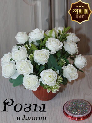 розы в кашпо