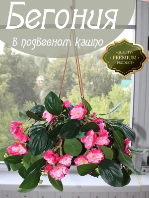 Азалия в подвесном кашпо