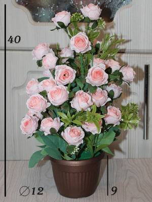 розы в горшке