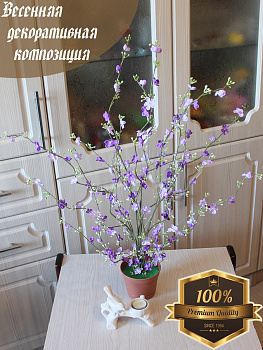 Вишня в горшке
