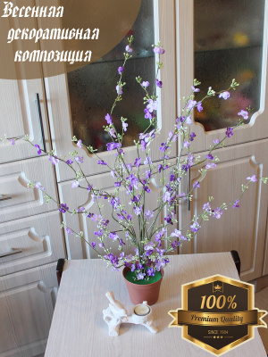 Вишня в горшке