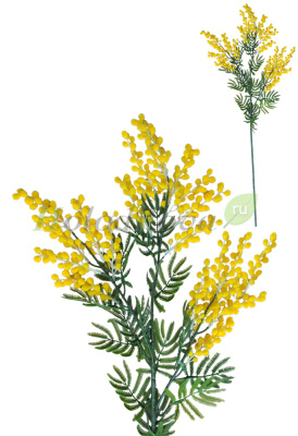 Картинка с сайта