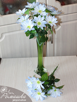 ромашки декоративные
