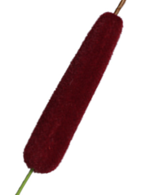 В-73-00б