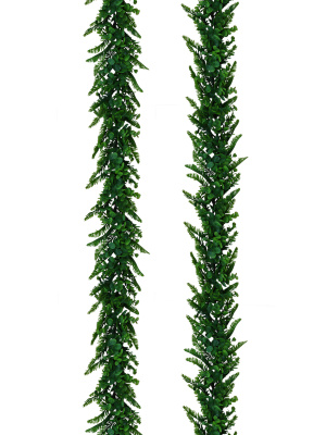 Лиана