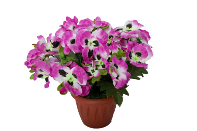 Картинка с сайта