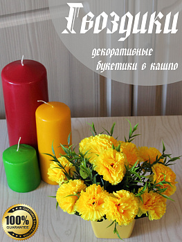 цветы в кашпо