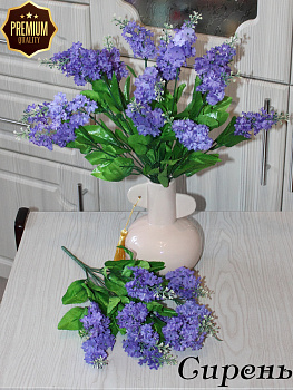 Сирень