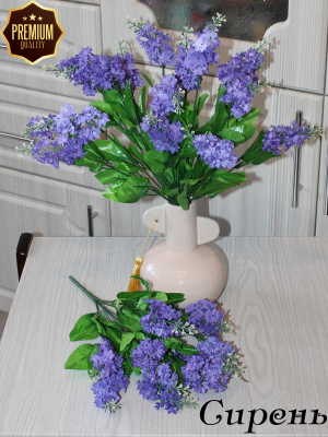 Сирень