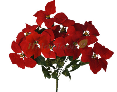 Картинка с сайта