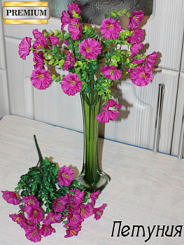 петуния