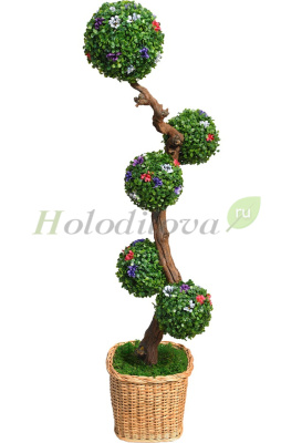 Картинка с сайта