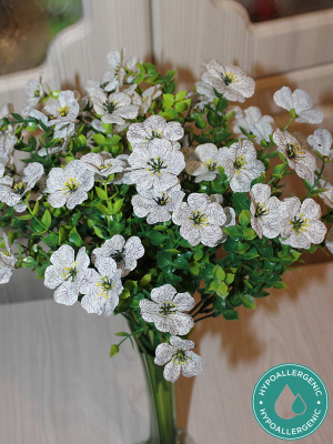 фиалки (букет)