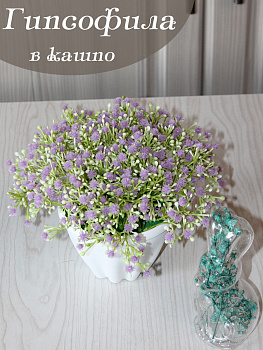 гипсофила в кашко