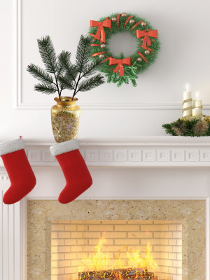 Ветка сосны