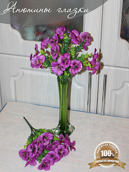 анютины глазки