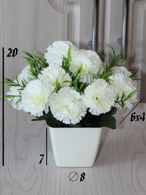 цветы в кашпо