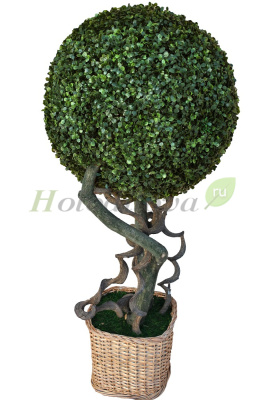 Картинка с сайта