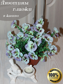 анютины глазки в кашпо