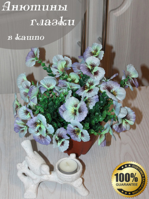 анютины глазки в кашпо