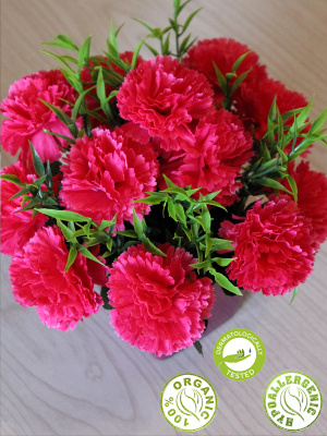 цветы в кашпо