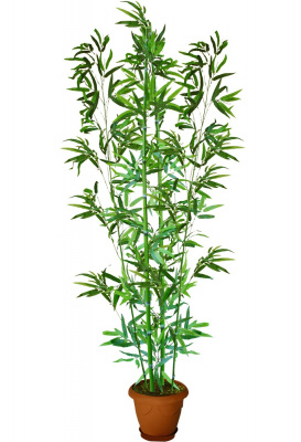 Бамбук-А-00-28-4