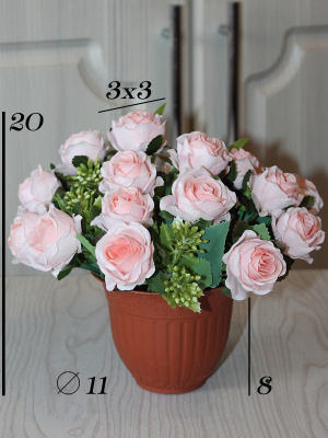 розы в кашпо