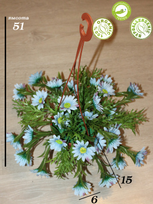 Цветы в подвесном кашпо