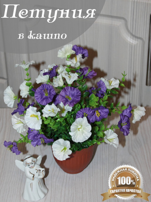 Петуния в кашпо