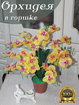 орхидея в горшке