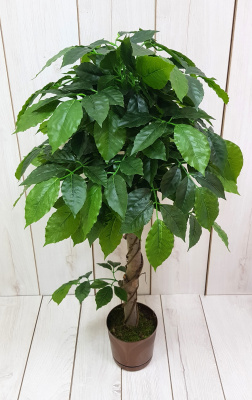 НоменклатураПрисоединенныеФайлы