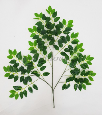 Картинка с сайта