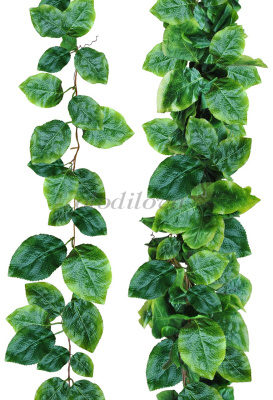 Картинка с сайта