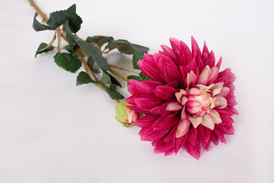 Картинка с сайта