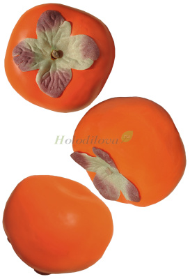 Картинка с сайта