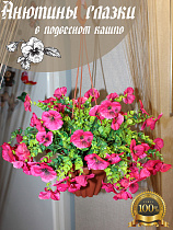 анютины глазки в подвесном кашпо